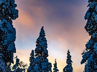 Traditional Lapland Reindeer Safari